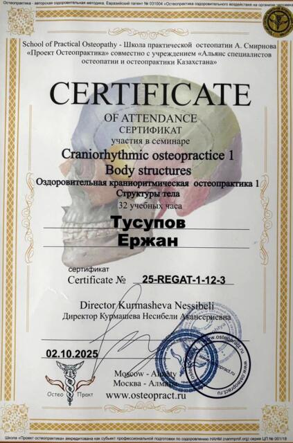 Краниоритмическая остеопрактика 1 · Структуры тела