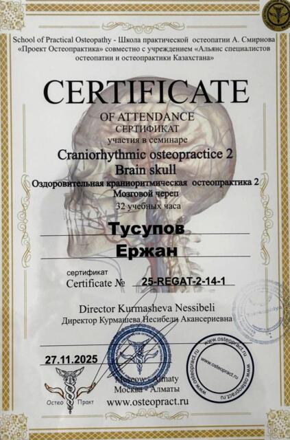 Краниоритмическая остеопрактика 2 · Мозговой череп