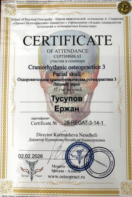 Краниоритмическая остеопрактика 3 · Лицевой череп