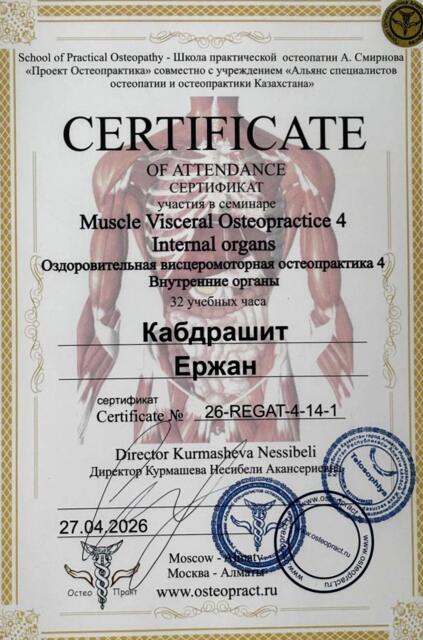 Висцеромоторная остеопрактика 4 · Внутренние органы